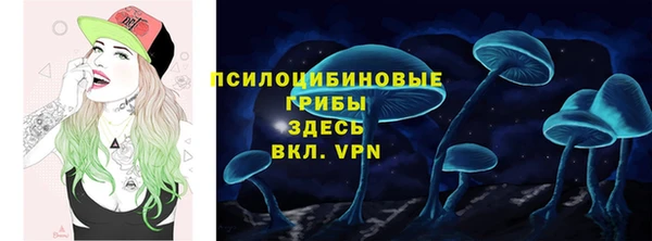 дживик Алексин