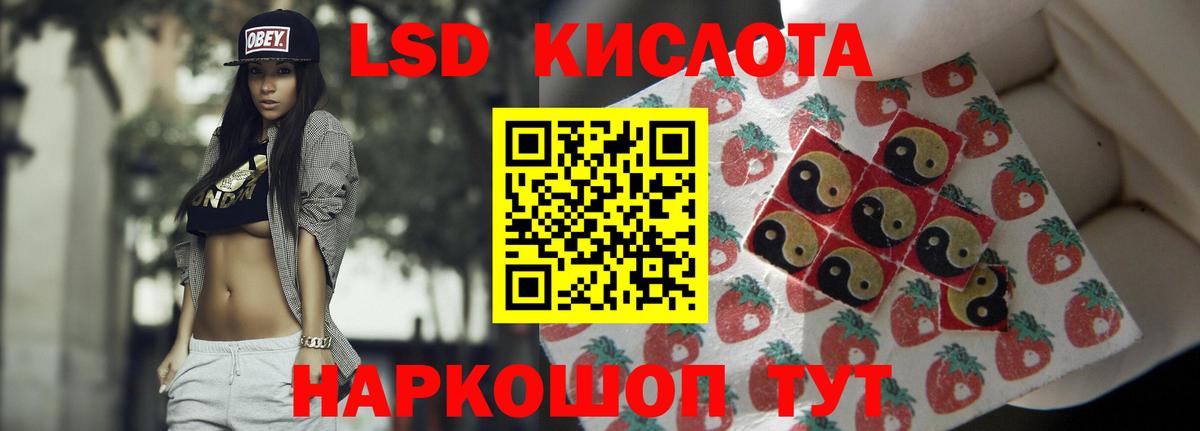 Бошки Шишки Касимов